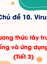 Bài 22. Phương thức lây truyền, cách phòng chống và ứng dụng của virus (Tiết 3)